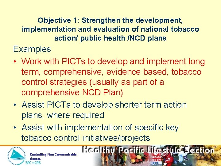 Objective 1: Strengthen the development, implementation and evaluation of national tobacco action/ public health