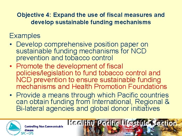 Objective 4: Expand the use of fiscal measures and develop sustainable funding mechanisms Examples