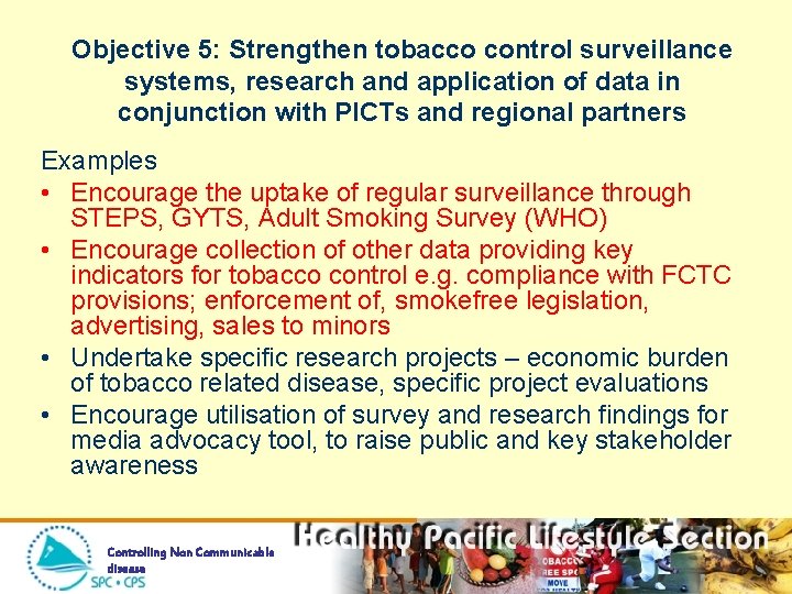 Objective 5: Strengthen tobacco control surveillance systems, research and application of data in conjunction