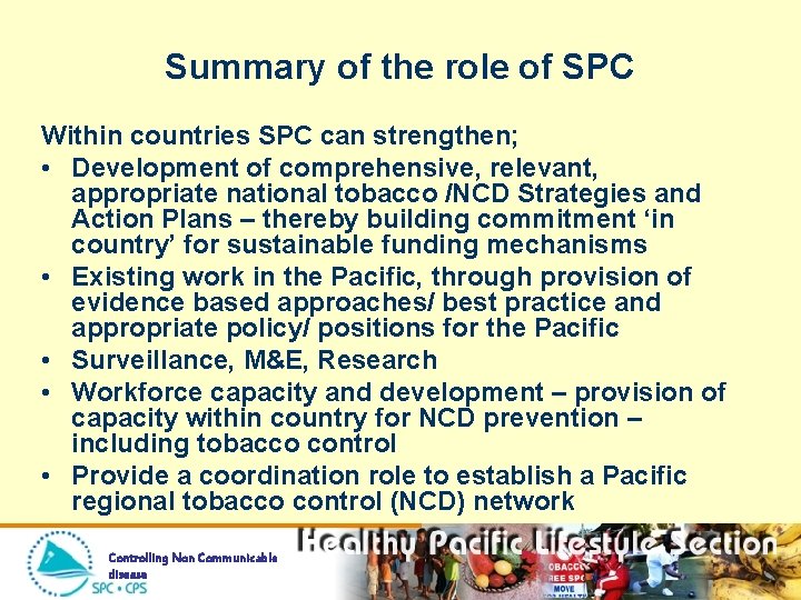 Summary of the role of SPC Within countries SPC can strengthen; • Development of
