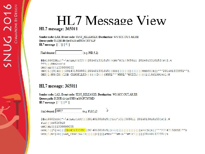 HL 7 Message View 