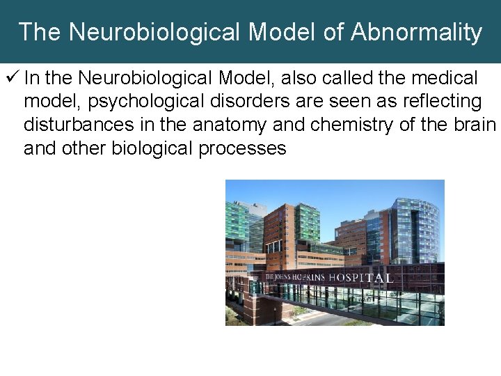 The Neurobiological Model of Abnormality ü In the Neurobiological Model, also called the medical