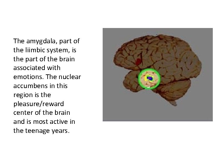 The amygdala, part of the liimbic system, is the part of the brain associated