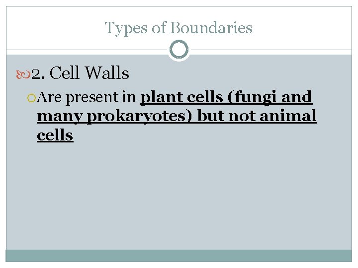 Types of Boundaries 2. Cell Walls Are present in plant cells (fungi and many