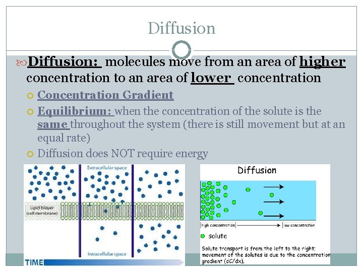 Diffusion: molecules move from an area of higher concentration to an area of lower