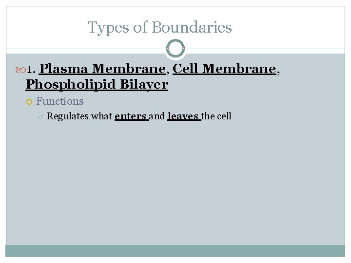 Types of Boundaries 1. Plasma Membrane, Cell Membrane, Phospholipid Bilayer Functions Regulates what enters