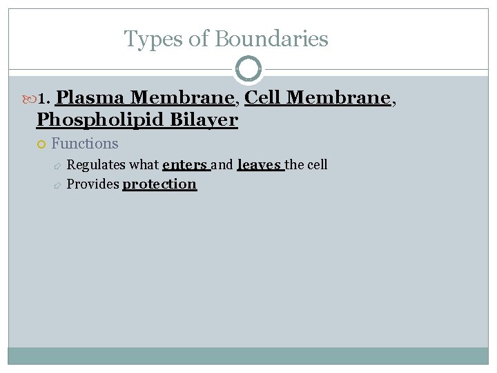 Types of Boundaries 1. Plasma Membrane, Cell Membrane, Phospholipid Bilayer Functions Regulates what enters
