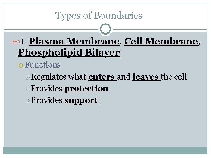 Types of Boundaries 1. Plasma Membrane, Cell Membrane, Phospholipid Bilayer Functions Regulates what enters