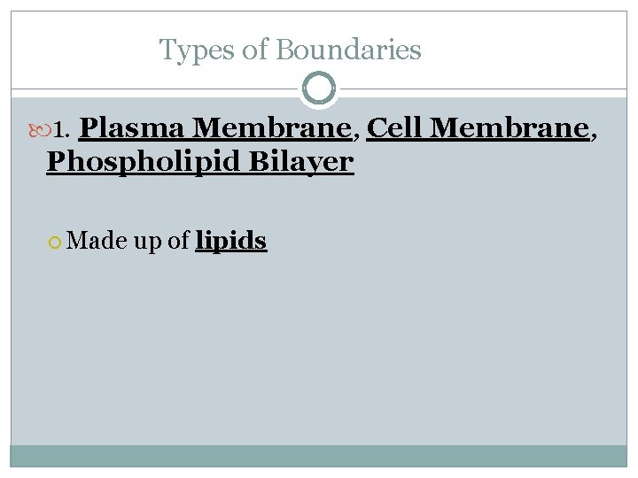 Types of Boundaries 1. Plasma Membrane, Cell Membrane, Phospholipid Bilayer Made up of lipids