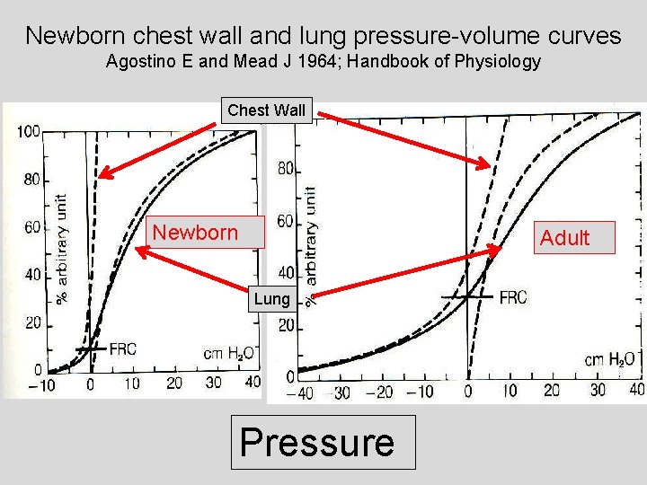 Newborn chest wall and lung pressure-volume curves Agostino E and Mead J 1964; Handbook