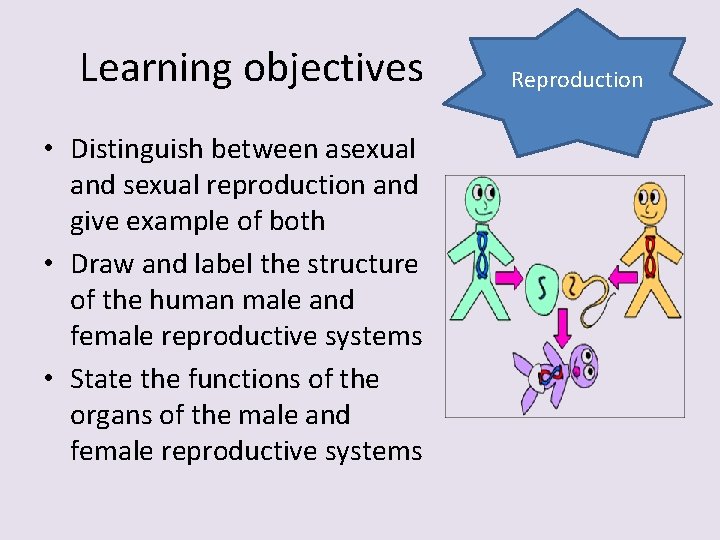 Learning objectives • Distinguish between asexual and sexual reproduction and give example of both