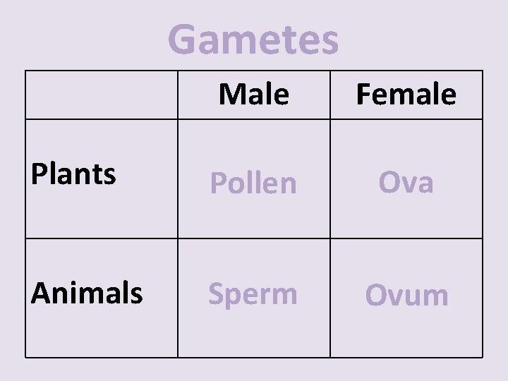 Gametes Male Female Plants Pollen Ova Animals Sperm Ovum 
