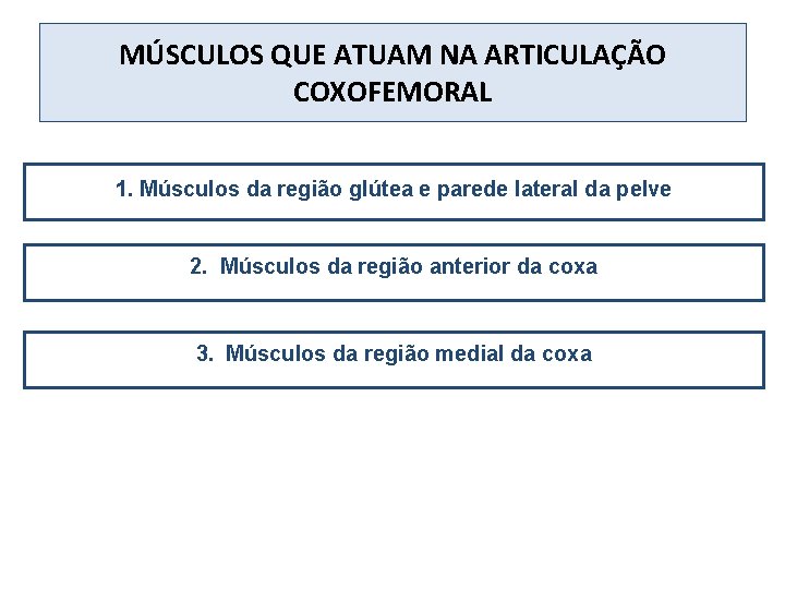 MÚSCULOS QUE ATUAM NA ARTICULAÇÃO COXOFEMORAL 1. Músculos da região glútea e parede lateral