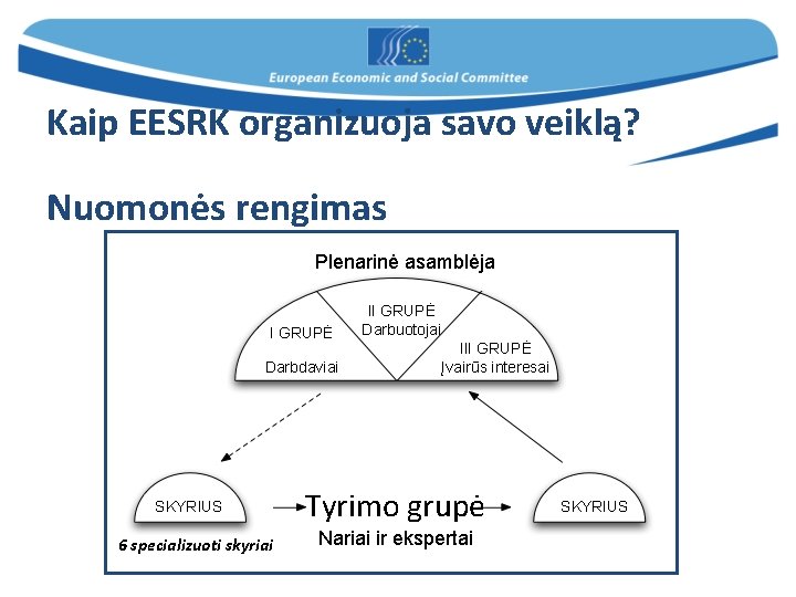 Kaip EESRK organizuoja savo veiklą? Nuomonės rengimas Plenarinė asamblėja I GRUPĖ Darbdaviai SKYRIUS 6