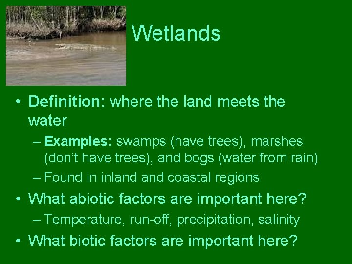 Biomes What is a biome Definition A group