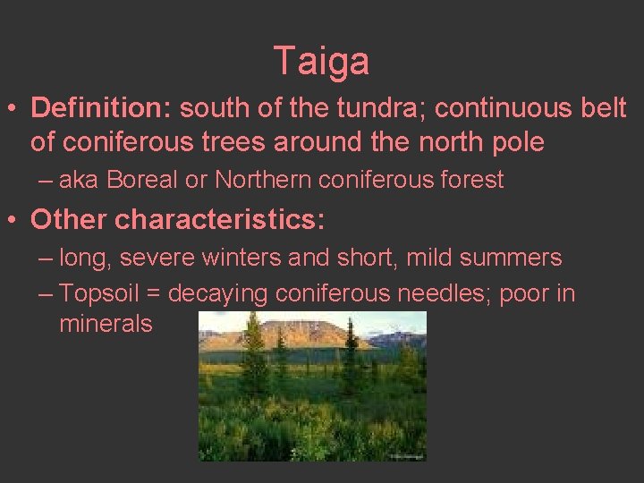 Taiga • Definition: south of the tundra; continuous belt of coniferous trees around the