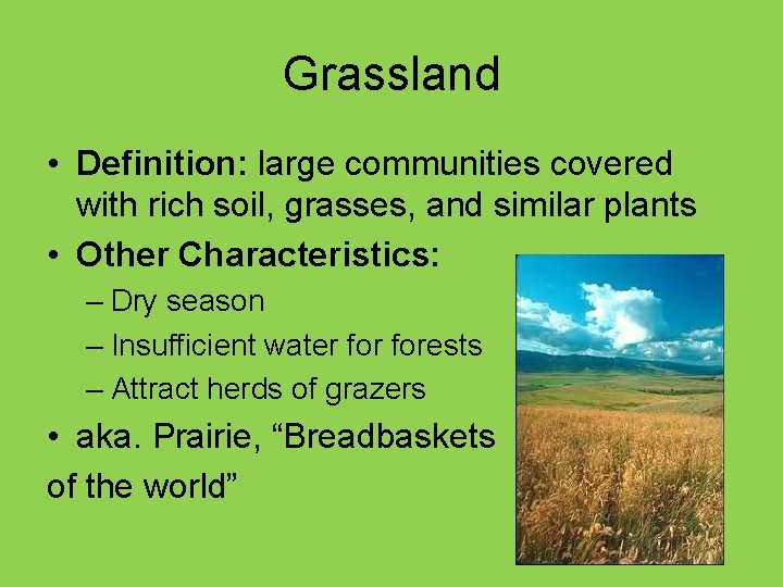 Grassland • Definition: large communities covered with rich soil, grasses, and similar plants •