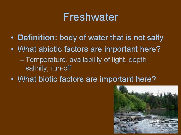 Freshwater • Definition: body of water that is not salty • What abiotic factors