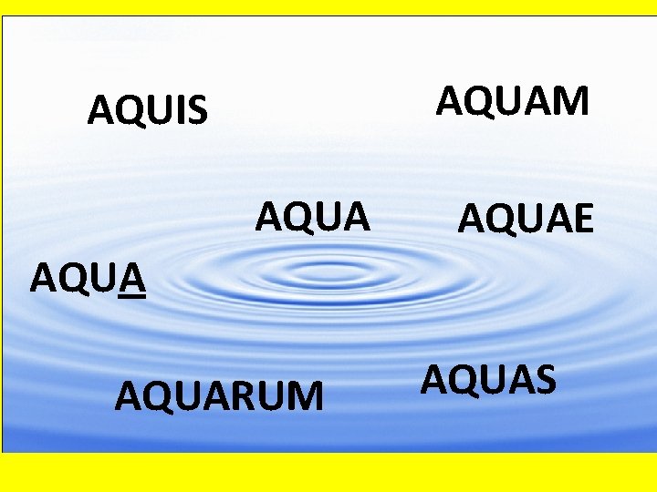 AQUAM AQUIS AQUAE AQUARUM AQUAS 