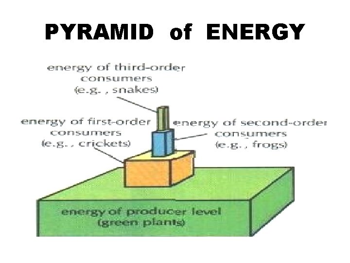 PYRAMID of ENERGY 