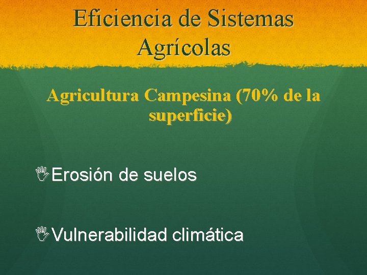 Eficiencia de Sistemas Agrícolas Agricultura Campesina (70% de la superficie) IErosión de suelos IVulnerabilidad