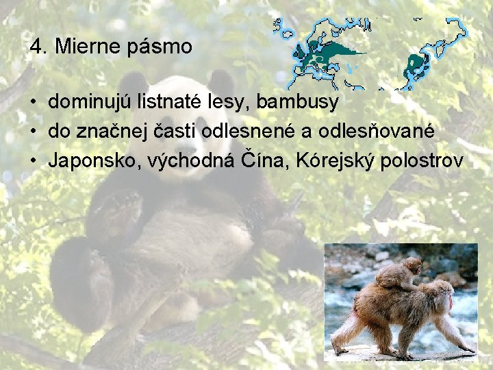 4. Mierne pásmo • dominujú listnaté lesy, bambusy • do značnej časti odlesnené a
