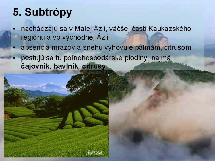 5. Subtrópy • nachádzajú sa v Malej Ázii, väčšej časti Kaukazského regiónu a vo