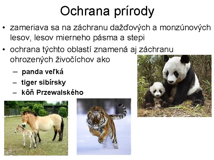 Ochrana prírody • zameriava sa na záchranu dažďových a monzúnových lesov, lesov mierneho pásma