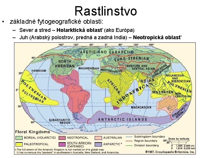 Rastlinstvo • základné fytogeografické oblasti: – Sever a stred – Holarktická oblasť (ako Európa)