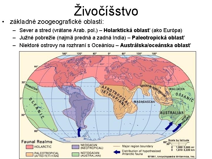 Živočíšstvo • základné zoogeografické oblasti: – Sever a stred (vrátane Arab. pol. ) –