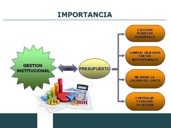 IMPORTANCIA EJECUTAR PLANES DE DESARROLLO CUMPLIR OBJETIVOS Y METAS INSTITUCIONALES GESTION INSTITUCIONAL PRESUPUESTO MEJORAR