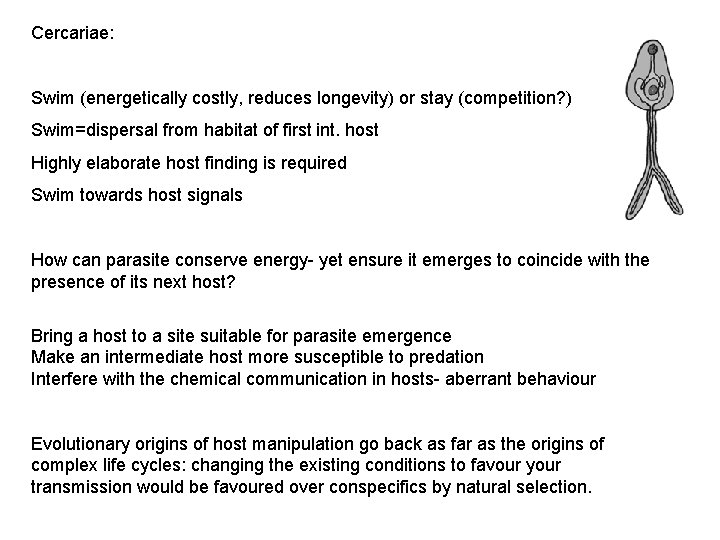 Cercariae: Swim (energetically costly, reduces longevity) or stay (competition? ) Swim=dispersal from habitat of