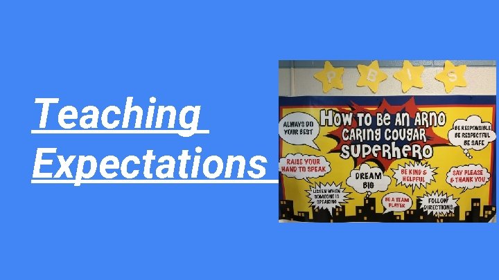 Teaching Expectations 
