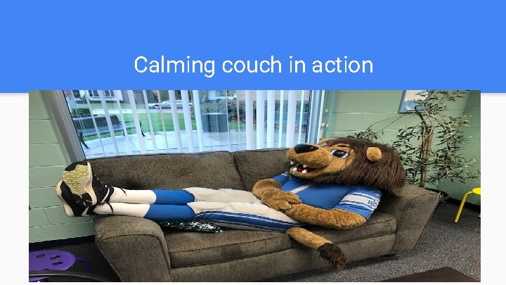 Calming couch in action 