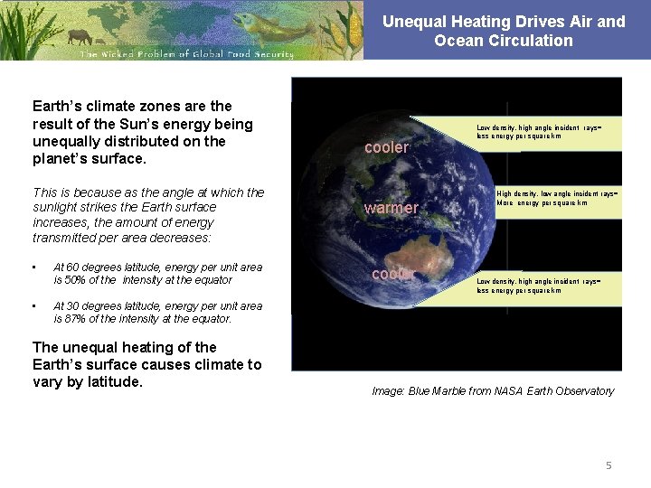 Unequal Heating Drives Air and Ocean Circulation Earth’s climate zones are the result of