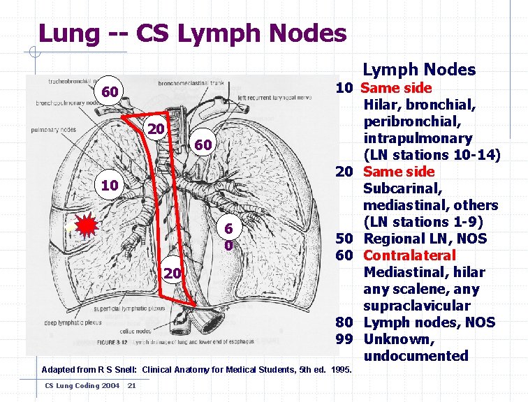 Lung -- CS Lymph Nodes 60 20 60 10 6 0 20 10 Same
