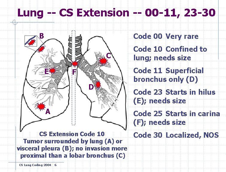 Lung -- CS Extension -- 00 -11, 23 -30 B Code 00 Very rare