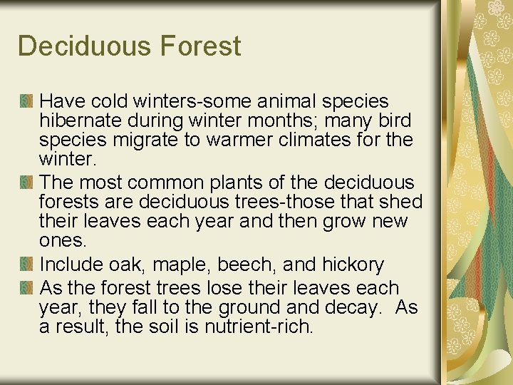 Deciduous Forest Have cold winters-some animal species hibernate during winter months; many bird species