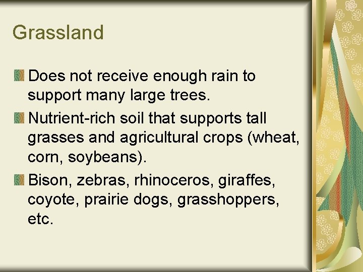 Grassland Does not receive enough rain to support many large trees. Nutrient-rich soil that