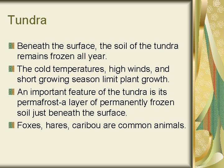 Tundra Beneath the surface, the soil of the tundra remains frozen all year. The