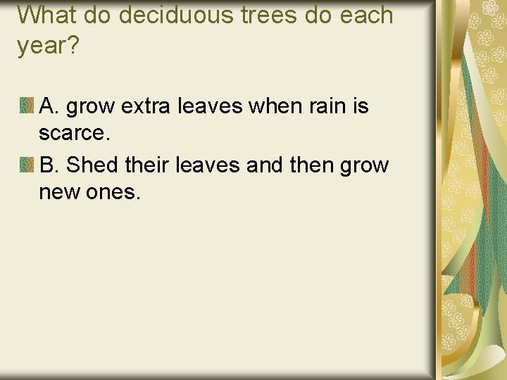 What do deciduous trees do each year? A. grow extra leaves when rain is