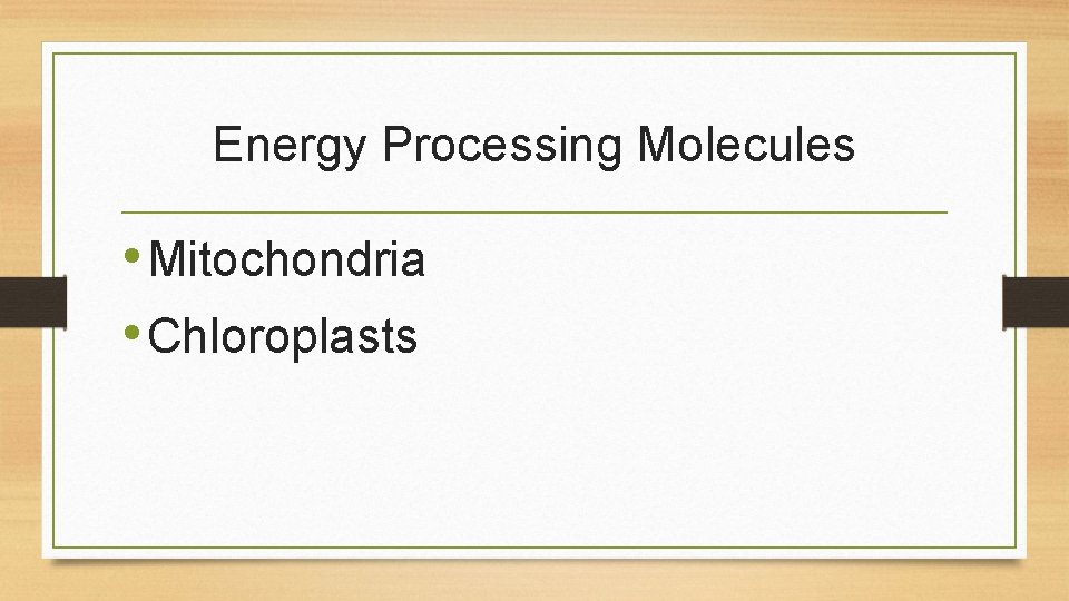 Energy Processing Molecules • Mitochondria • Chloroplasts 