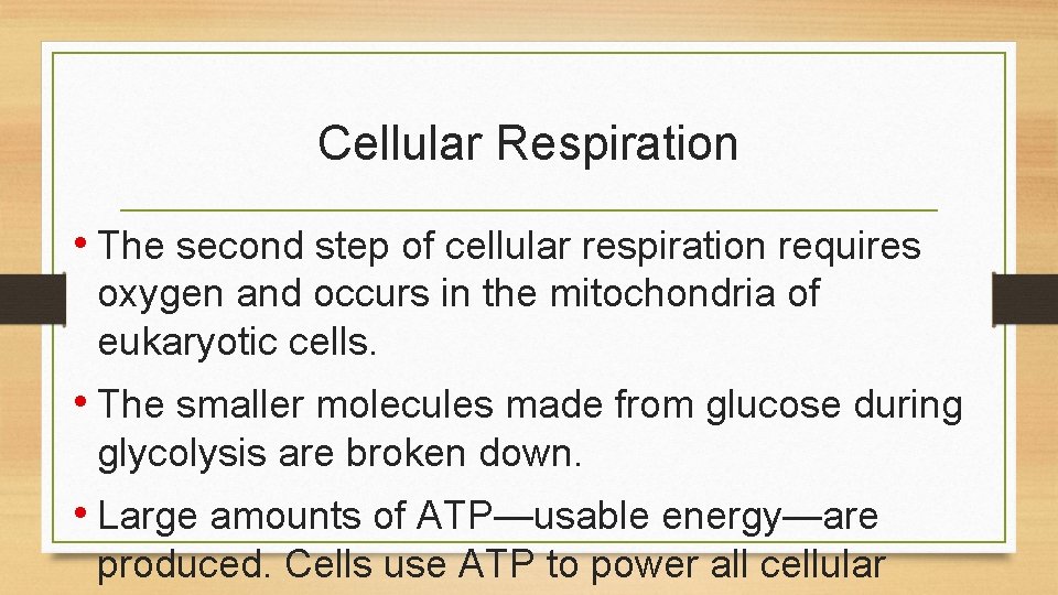 Cellular Respiration • The second step of cellular respiration requires oxygen and occurs in