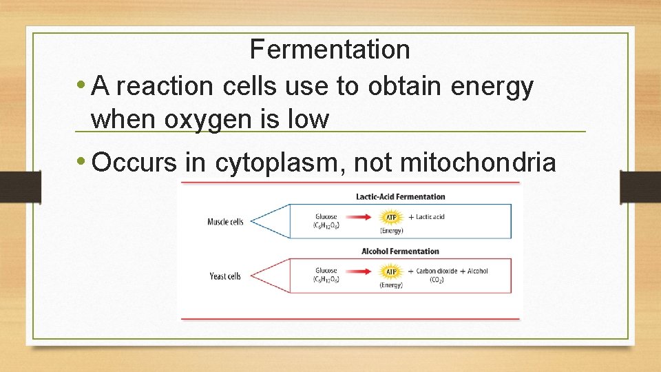 Fermentation • A reaction cells use to obtain energy when oxygen is low •