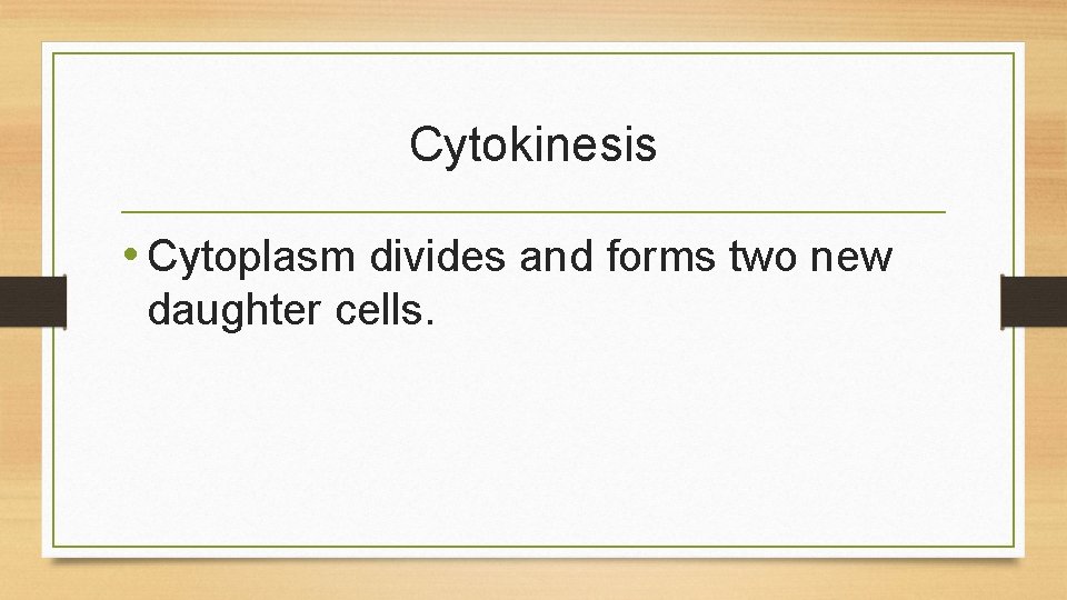 Cytokinesis • Cytoplasm divides and forms two new daughter cells. 