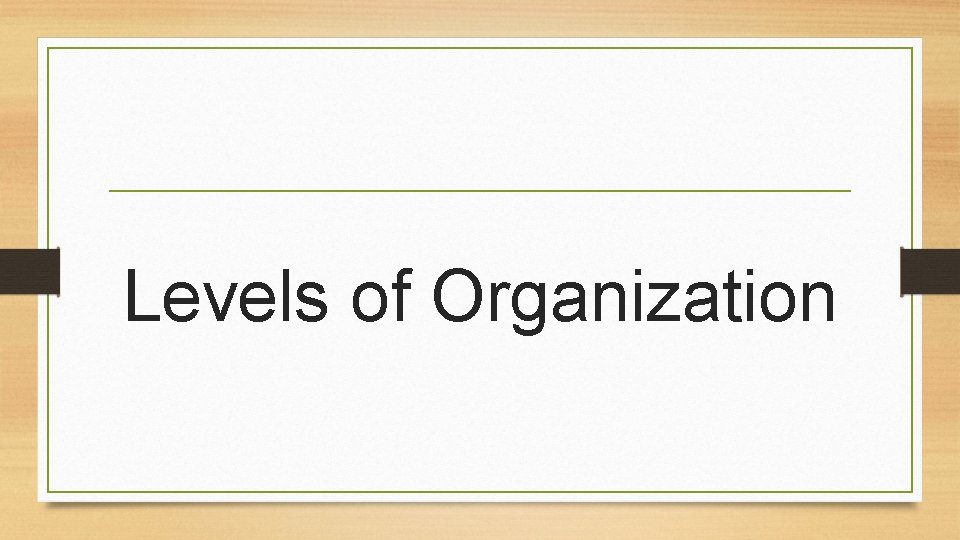 Levels of Organization 