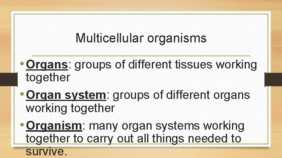 Multicellular organisms • Organs: groups of different tissues working together • Organ system: groups