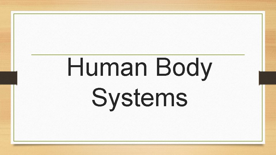 Human Body Systems 