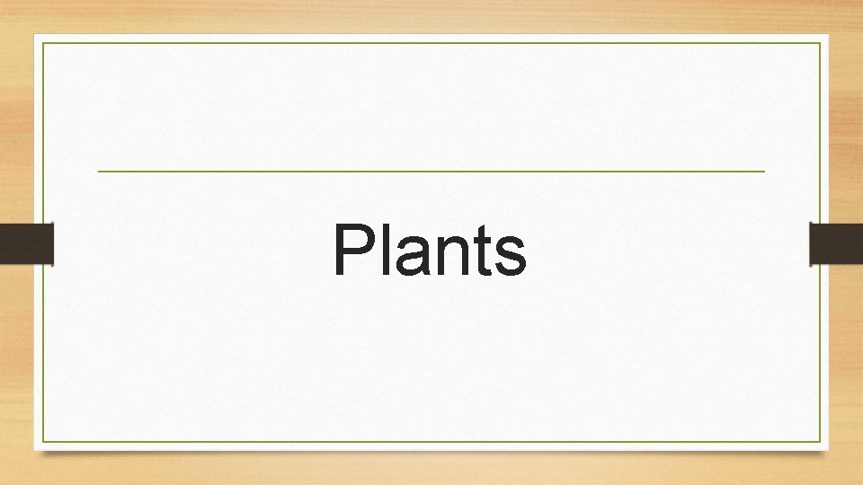 Plants 