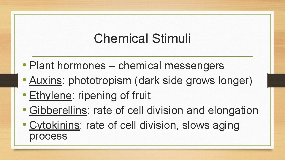 Chemical Stimuli • Plant hormones – chemical messengers • Auxins: phototropism (dark side grows